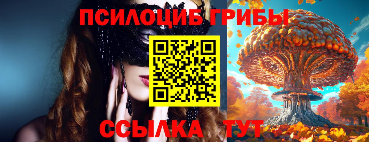 Псилоцибиновые грибы Psilocybe  Вход с VPN  Каменск-Уральский 
